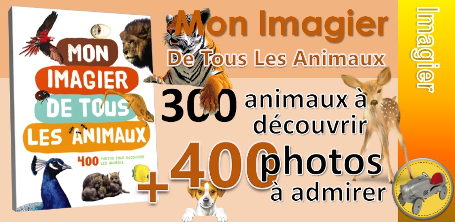 animaux.jpg
